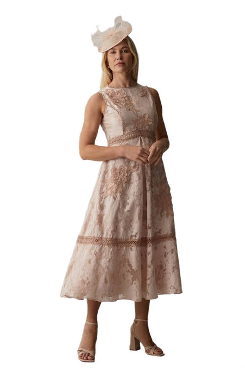 Jacques Vert Blush Premium Jacquard Midi Dress With Floral Applique BCC05340